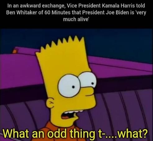 In an awkward exchange Vice President Kamala Harris told Ben Whitaker of 60 Minutes that President Joe Biden is very much alive What an odd thing t what