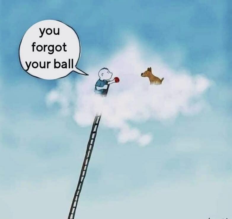 you forgot your ball