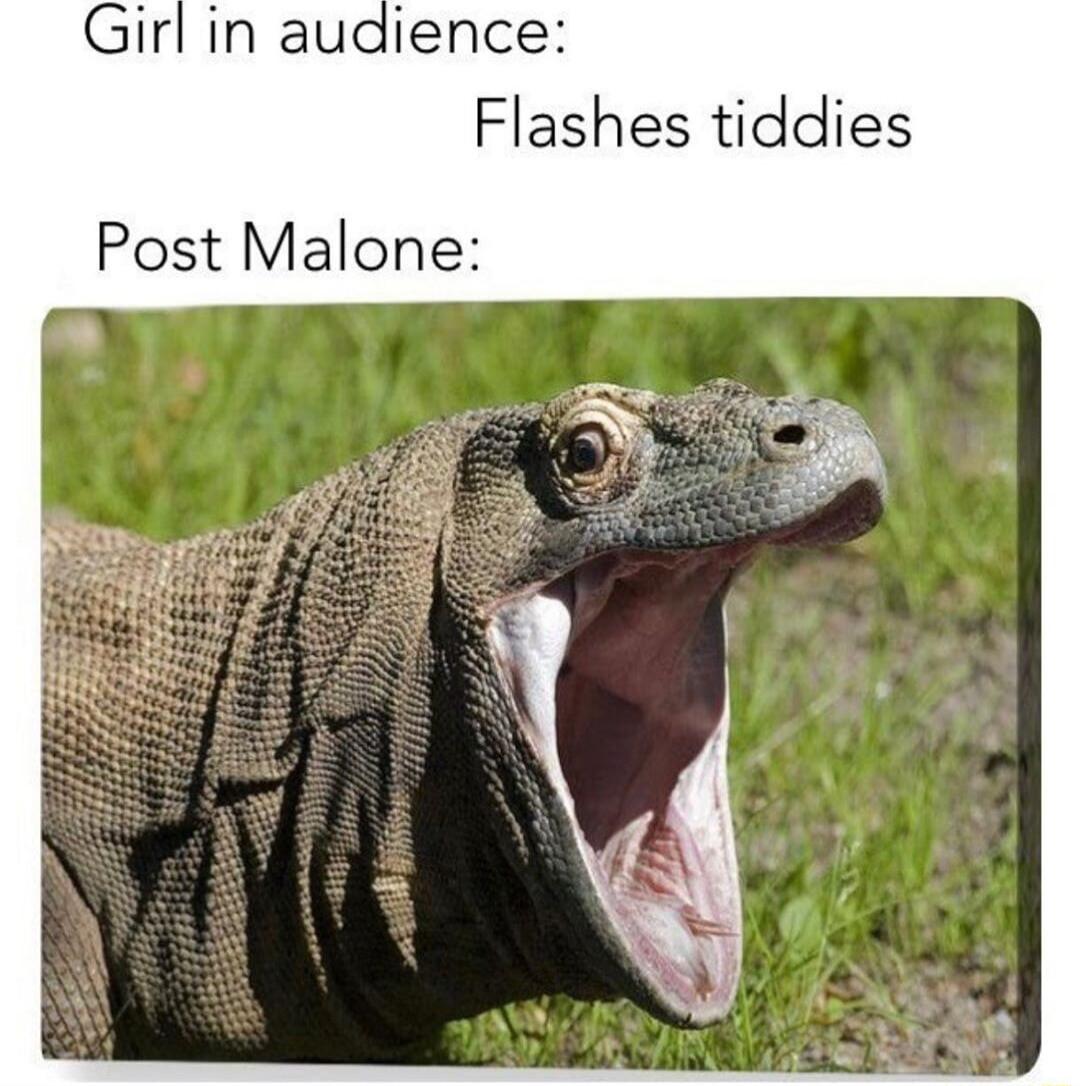 Girl in audience Flashes tiddies Post Malone