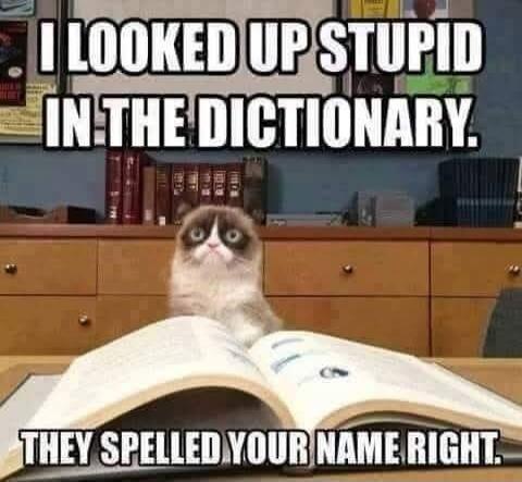 I LOOKED UP STUPID IN THE DICTIONARY. THEY SPELLED YOUR NAME RIGHT.