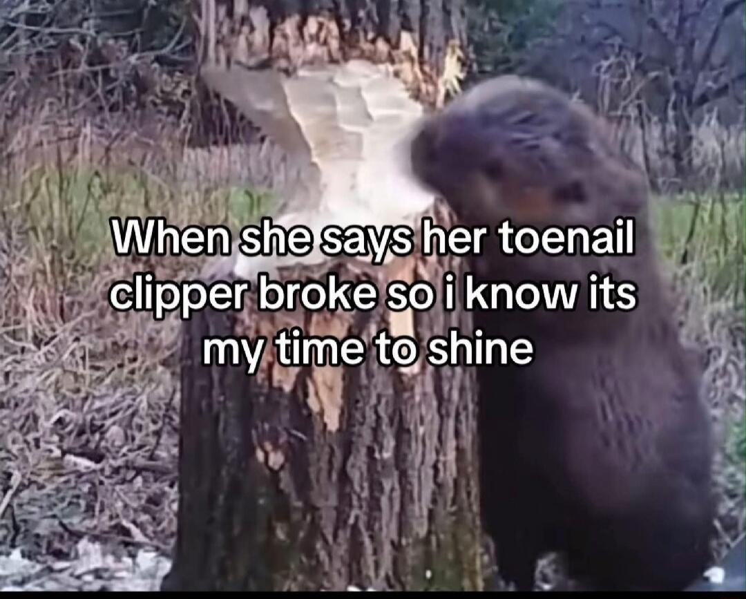 When she says her toenail clipper broke so i know its my time to shine