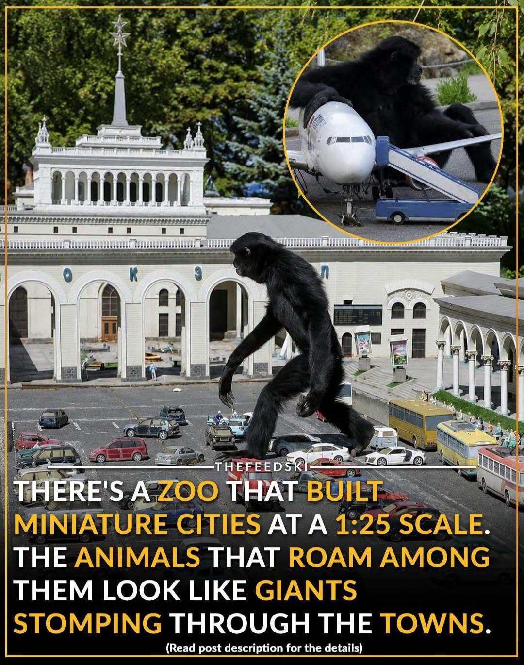 THERE'S A ZOO THAT BUILT MINIATURE CITIES AT A 1:25 SCALE. THE ANIMALS THAT ROAM AMONG THEM LOOK LIKE GIANTS STOMPING THROUGH THE TOWNS. (Read post description for the details)