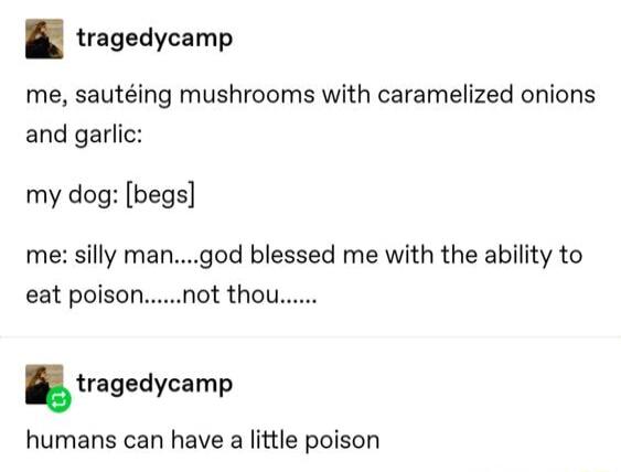 tragedycamp me sauting mushrooms with caramelized onions and garlic my dog begs me silly mangod blessed me with the ability to humans can have a little poison
