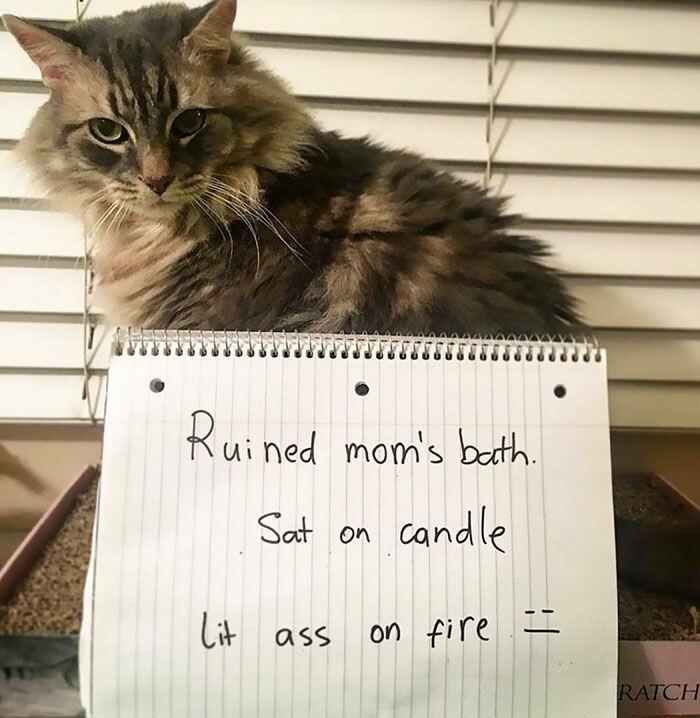 LTSN Rt ried mons bt Sat on cand q L ass on fire