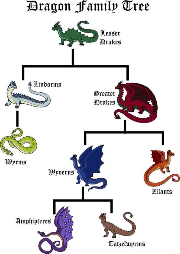 Bragon Jamily Tree Y Lindorms Breater D Drakes Wyrms Wyberns I Zilants Tatselwprms QAmphipteres