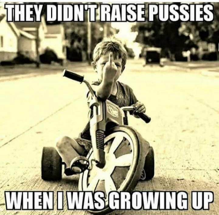 THEY DIDN'T RAISE PUSSIES WHEN I WAS GROWING UP
