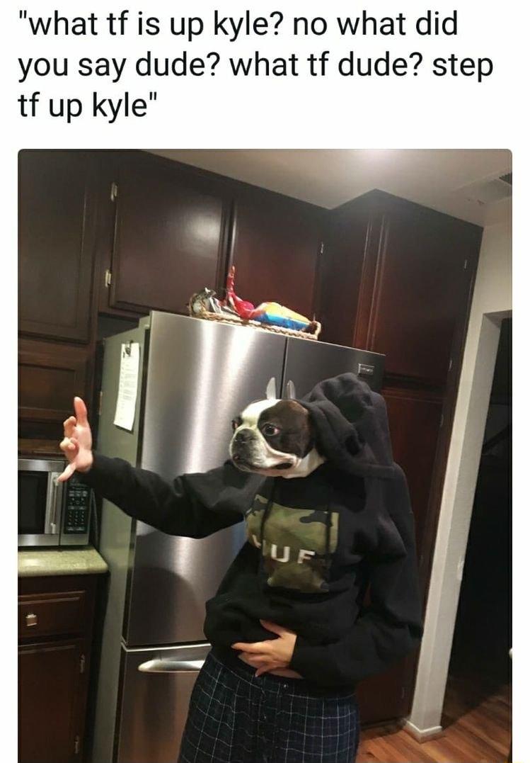 what tf is up kyle no what did you say dude what tf dude step tf up kyle Ur