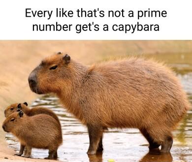 Every like thats not a prime number gets a capybara