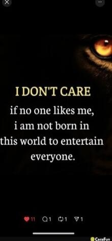 I DON'T CARE if no one likes me, i am not born in this world to entertain everyone.