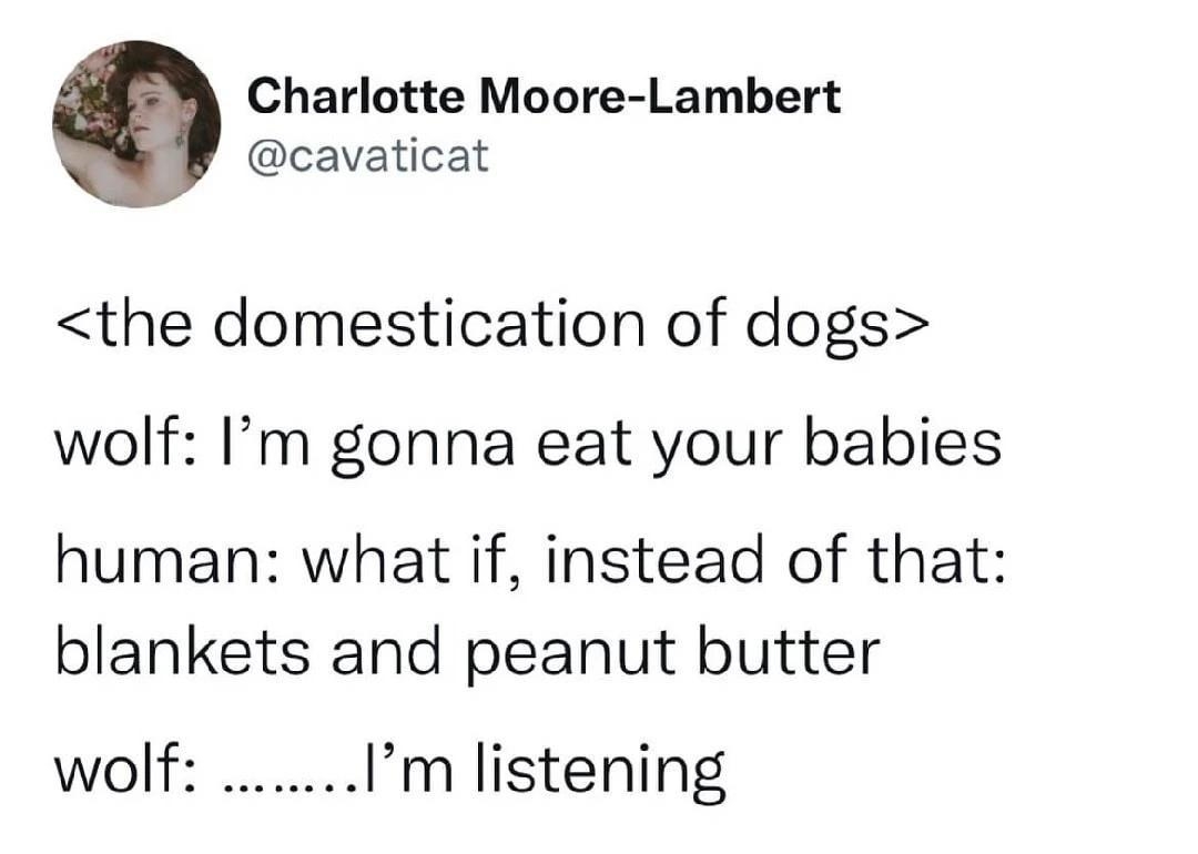 Charlotte Moore Lambert cavaticat the domestication of dogs wolf Im gonna eat your babies human what if instead of that blankets and peanut butter wolf Im listening