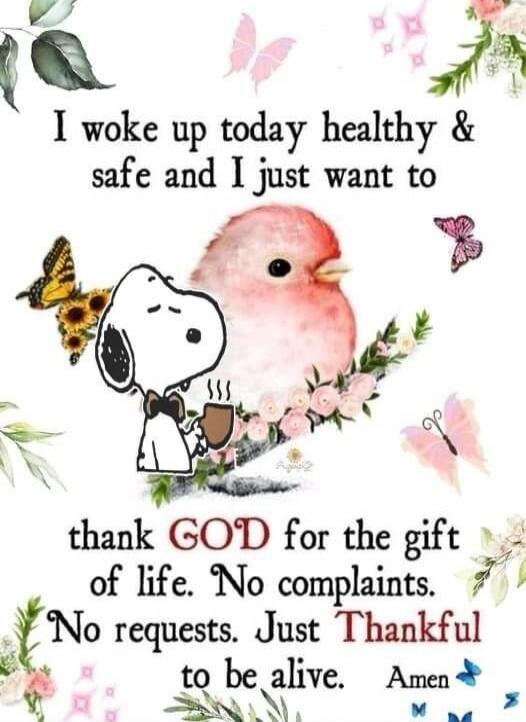 I woke up today healthy & safe and I just want to thank GOD for the gift of life. No complaints. No requests. Just Thankful to be alive. Amen