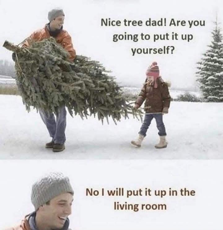 Nice tree dad! Are you going to put it up yourself? No I will put it up in the living room