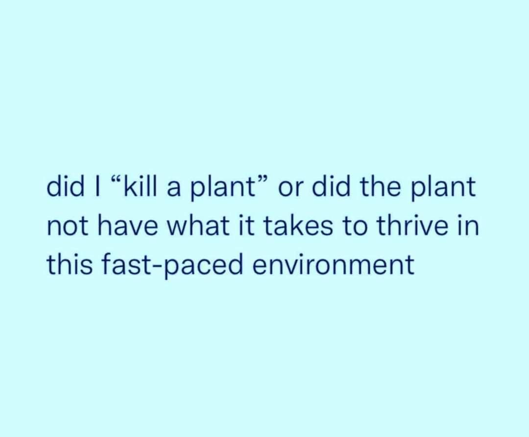 did kill a plant or did the plant not have what it takes to thrive in this fast paced environment