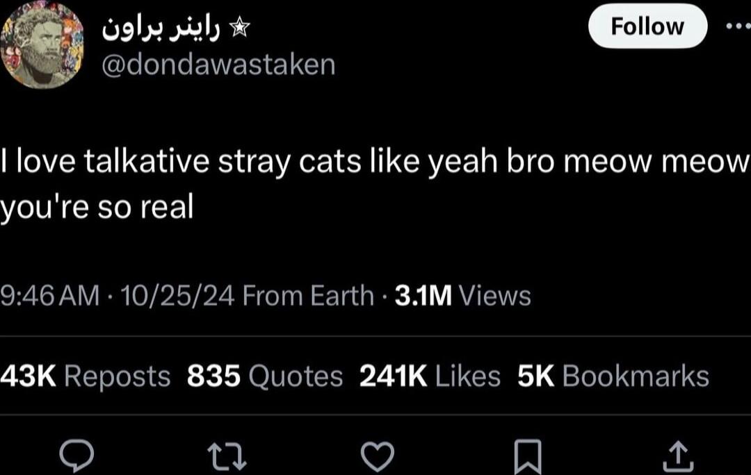 LI RENER EIED oo love talkative stray cats like yeah bro meow meow youre so real 946 AM 102524 From Earth 3AM Views 43K Reposts 835 Quotes 241K Likes 5K Bookmarks 8 L A T