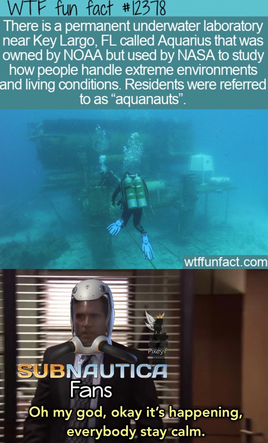 There is a permanent underwater laboratory near Key Largo FL called Aquarius that was O AN OLVAN TV V A NS TAN o R e how people handle extreme environments and living conditions Residents were referred to as aquanauts SusiAuTi Fans Oh my god okay itappening everybody staycalm