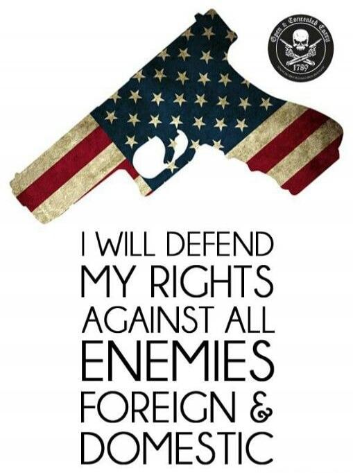 I WILL DEFEND MY RIGHTS AGAINST ALL ENEMIES FOREIGN & DOMESTIC