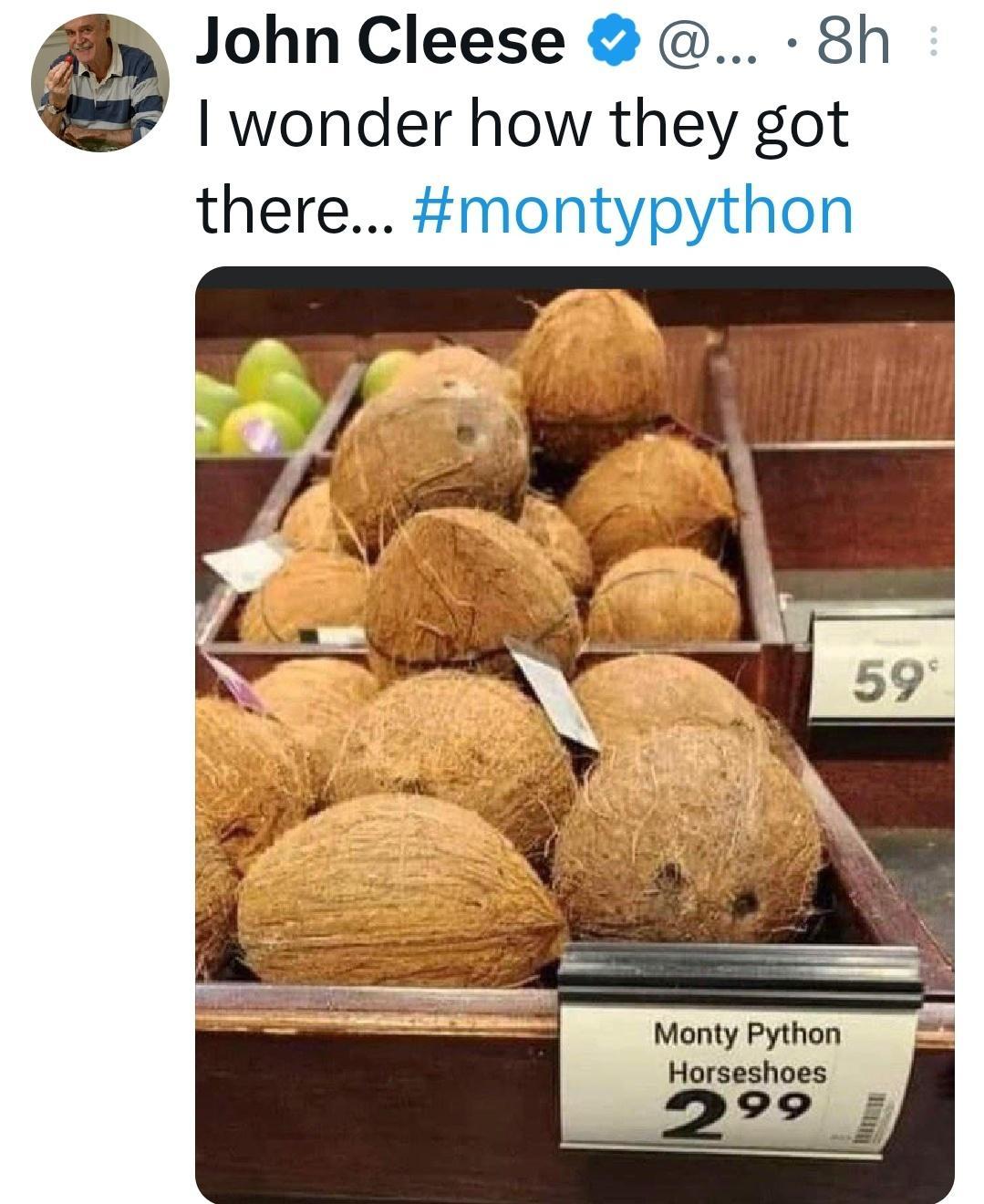 John Cleese 8h I wonder how they got there montypython Monty Python Horseshoes