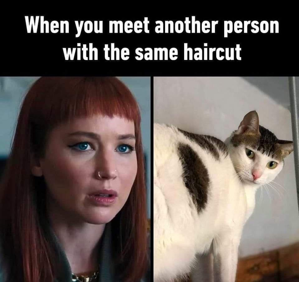 When you meet another person TIORGOS Y ETTA T