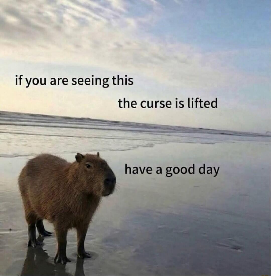 if you are seeing this the curse is lifted have a good day
