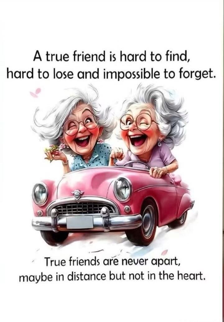 A true friend is hard to find, hard to lose and impossible to forget. True friends are never apart, maybe in distance but not in the heart.