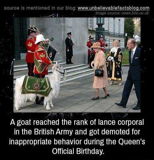 source Is mentioned In our blog wwwunbellevablefactsblogcom NG CET R GERED T RGNV L in the British Army and got demoted for inappropriate behavior during the Queens o VETR G EA