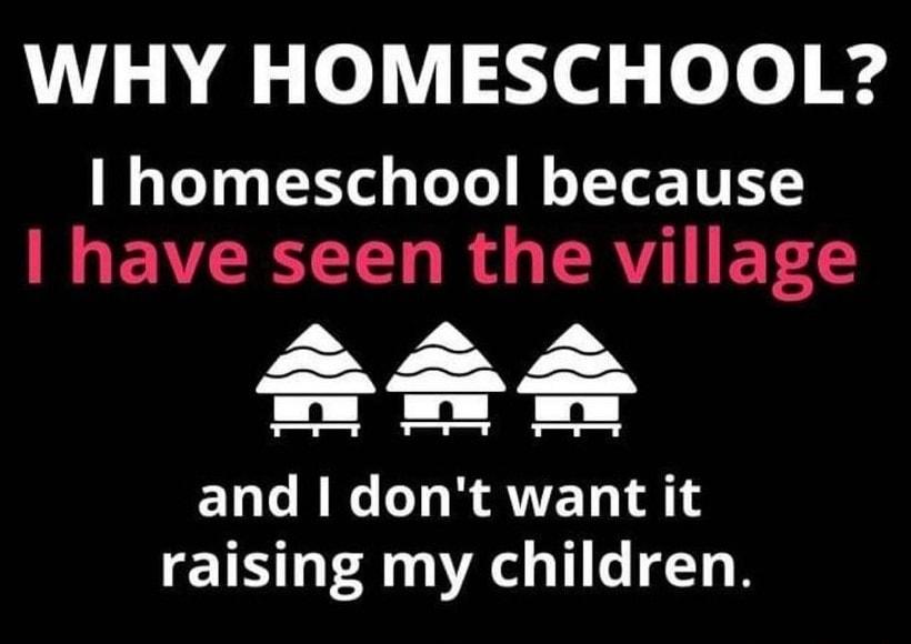 WHY HOMESCHOOL homeschool because have seen the village and dont want it raising my children