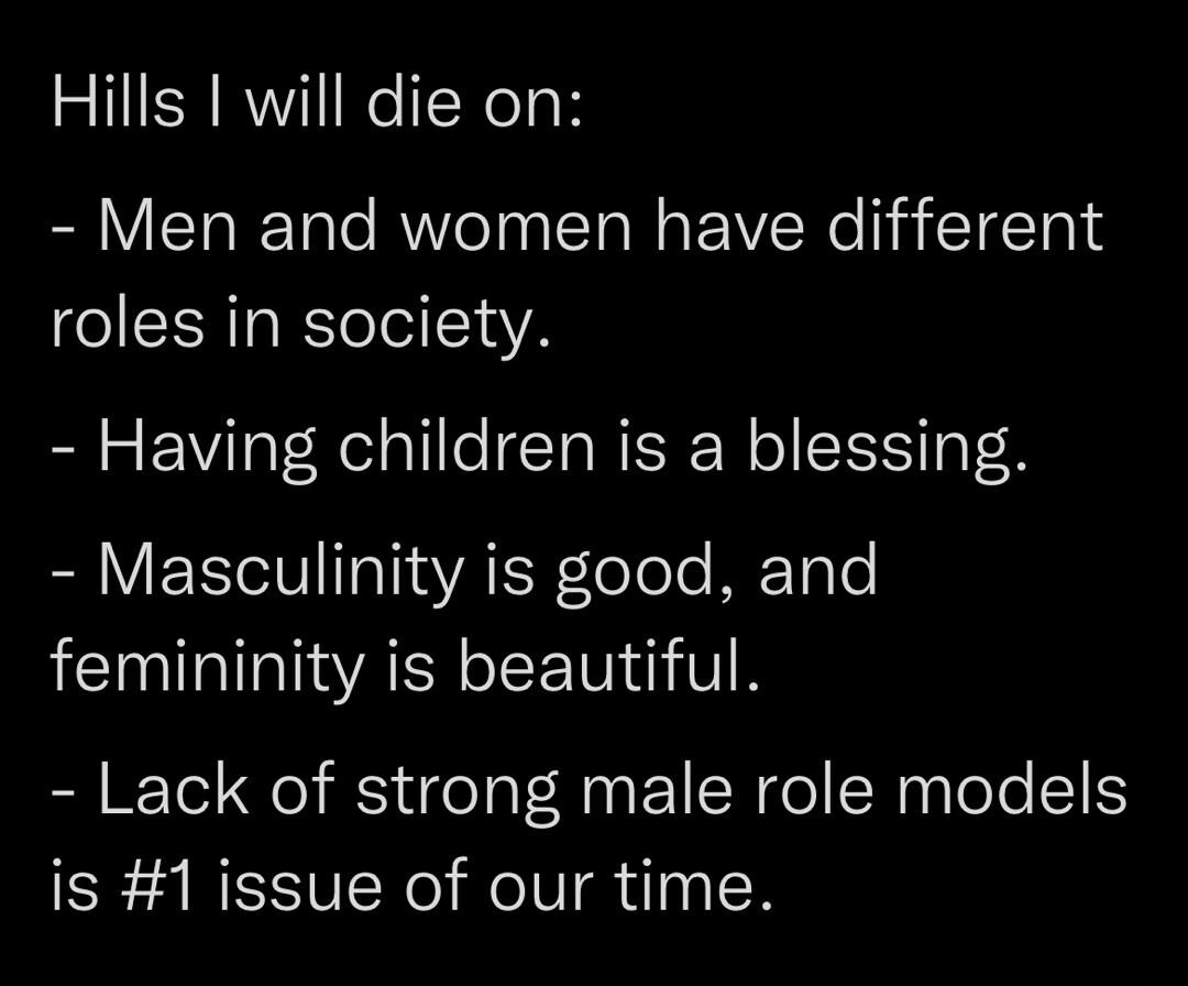 Hills I will die on Men and women have different roles in society Having children is a blessing RV VI YA TN elole E Tyle LI YA L0 VN Lack of strong male role models is 1 issue of our time