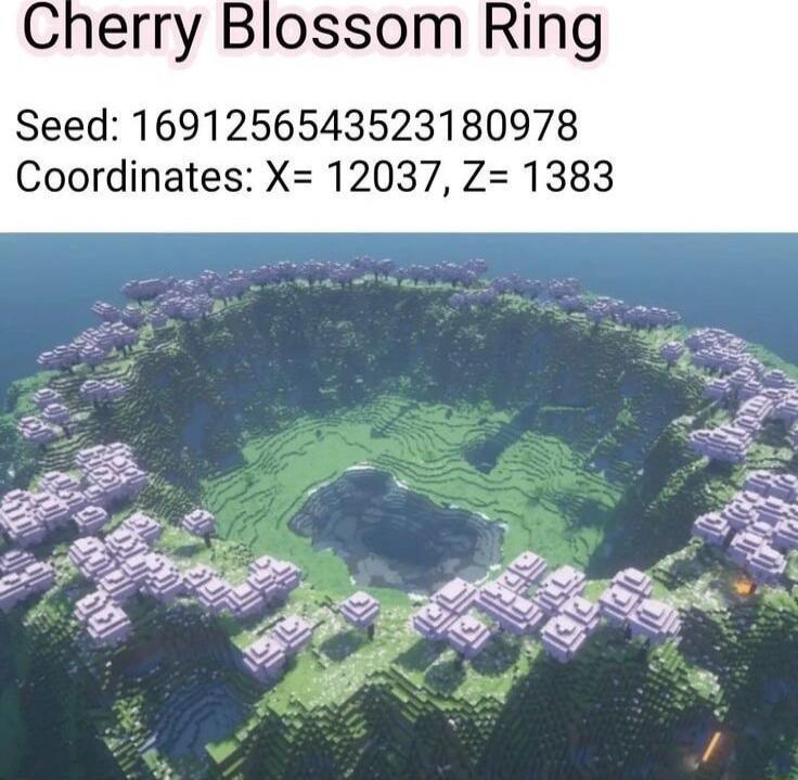 Cherry Blossom Ring Seed 1691256543523180978 Coordinates X 12037 Z 1383