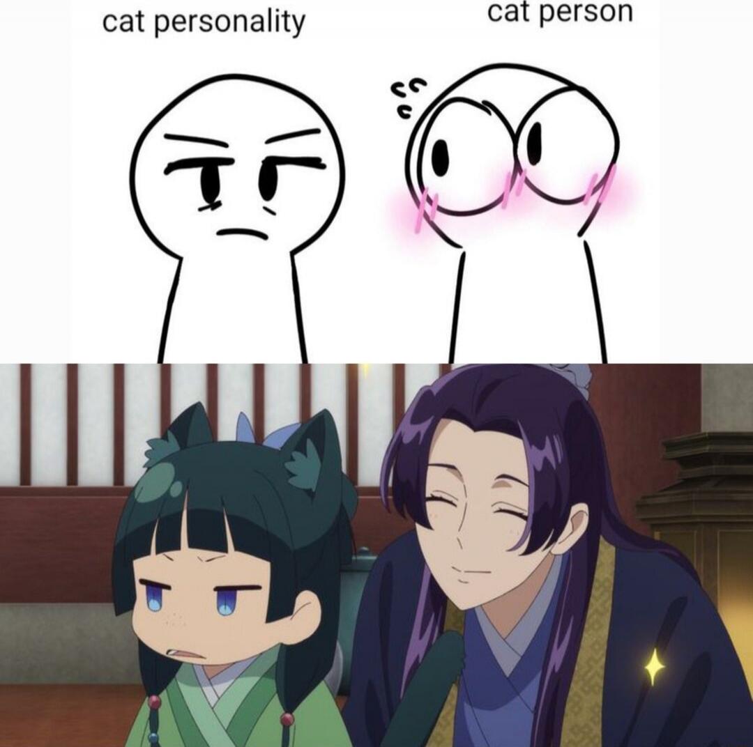 cat personality
cat person