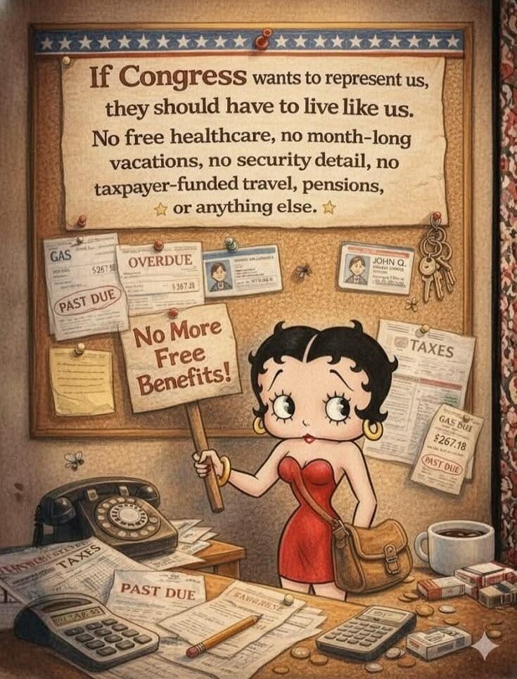 If Congress wants to represent us, they should have to live like us. No free healthcare, no month-long vacations, no security detail, no taxpayer-funded travel, pensions, or anything else. No More Free Benefits!