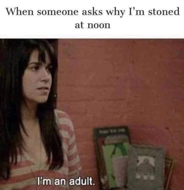 When someone asks why I'm stoned at noon I'm an adult.