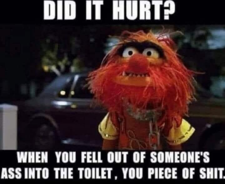DID IT HURT? WHEN YOU FELL OUT OF SOMEONE'S ASS INTO THE TOILET, YOU PIECE OF SHIT