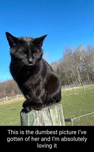 This is the dumbest picture Ive gotten of her and Im absolutely loving it