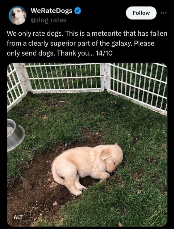 0 WeRateDogs We only rate dogs This is a meteorite that has fallen from a clearly superior part of the galaxy Please only send dogs Thank you 1410 R TTTT o Aanstal HHII s