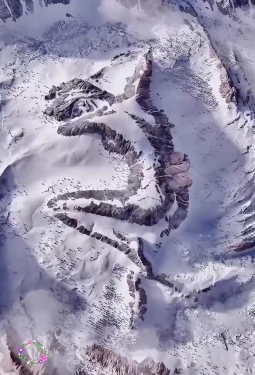 Session ID: 1018810.