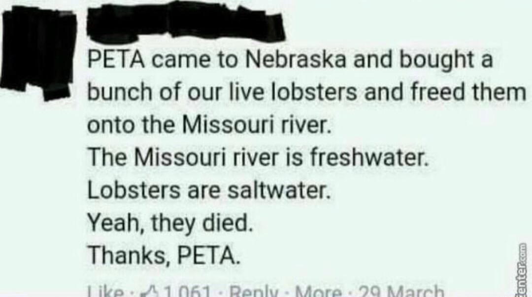 PETA came to Nebraska and bought a bunch of our live lobsters and freed them onto the Missouri river The Missouri river is freshwater Lobsters are saltwater Yeah they died Thanks PETA