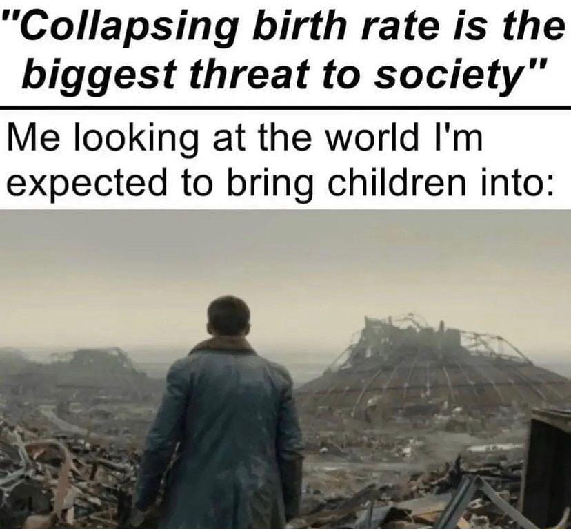 Collapsing birth rate is the biggest threat to society Me looking at the world Im expected to bring children into