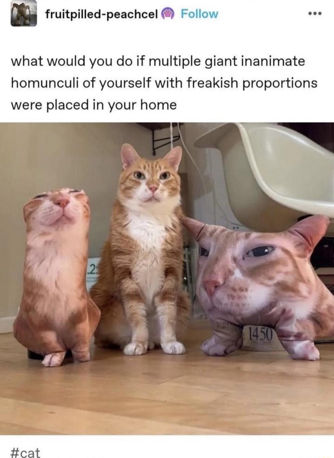 u fruitpilled peachcel F what would you do if multiple giant inanimate homunculi of yourself with freakish proportions were placed in your home