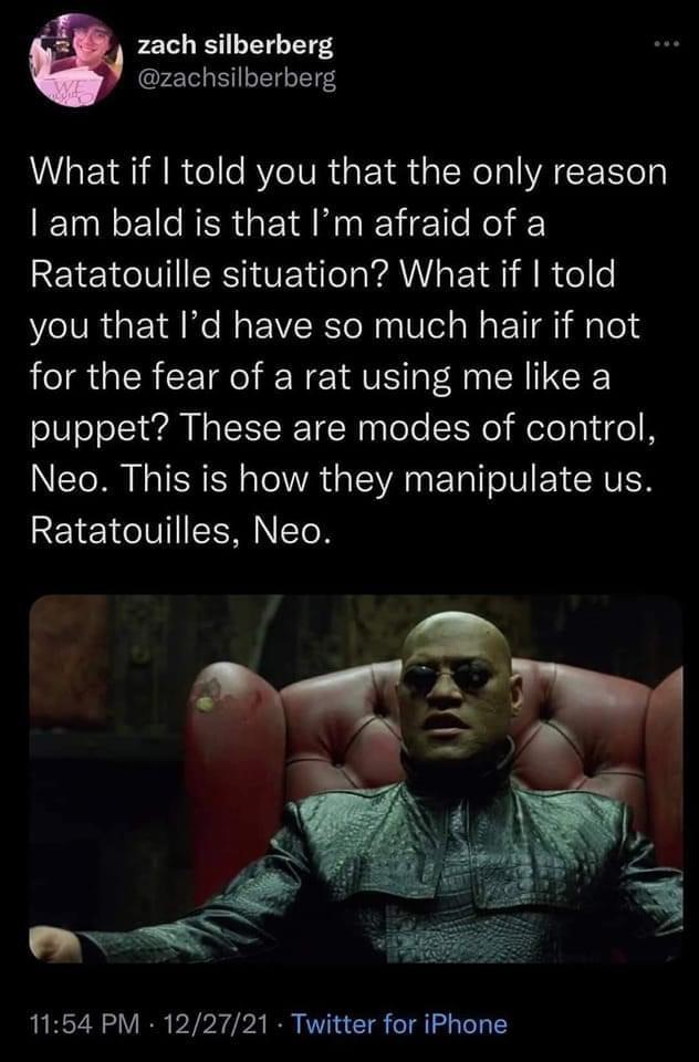 zach silberberg zachsilberberg What if told you that the only reason am bald is that Im afraid of a Ratatouille situation What if told you that Id have so much hair if not for the fear of a rat using me like a puppet These are modes of control NER LSRR oA VAN E T IOV XVEN Ratatouilles Neo 1154 PM 122721 Twitter for iPhone
