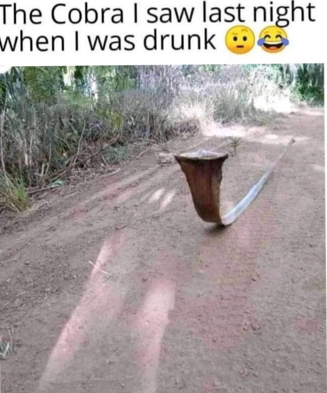 he Cobra saw last night hen was drunk