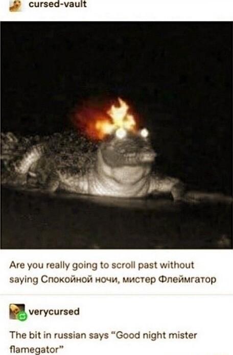 Are you really going to scroll past without saying CnokoiiHot HouW mucTep OneAamraTop 9 B verycursed The bit in russian says Good night mister flamegator
