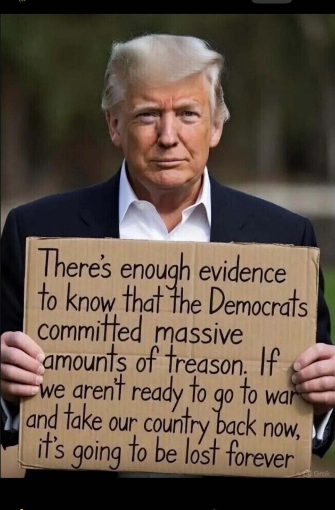 There's enough evidence to know that the Democrats committed massive amounts of treason. If we aren't ready to go to war and take our country back now, it's going to be lost forever.