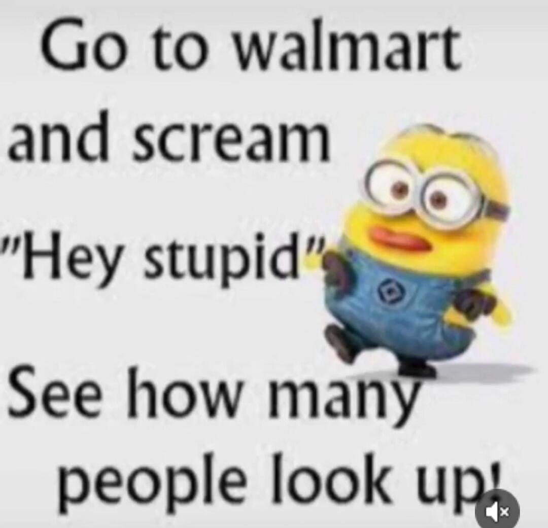 Go to walmart and scream 