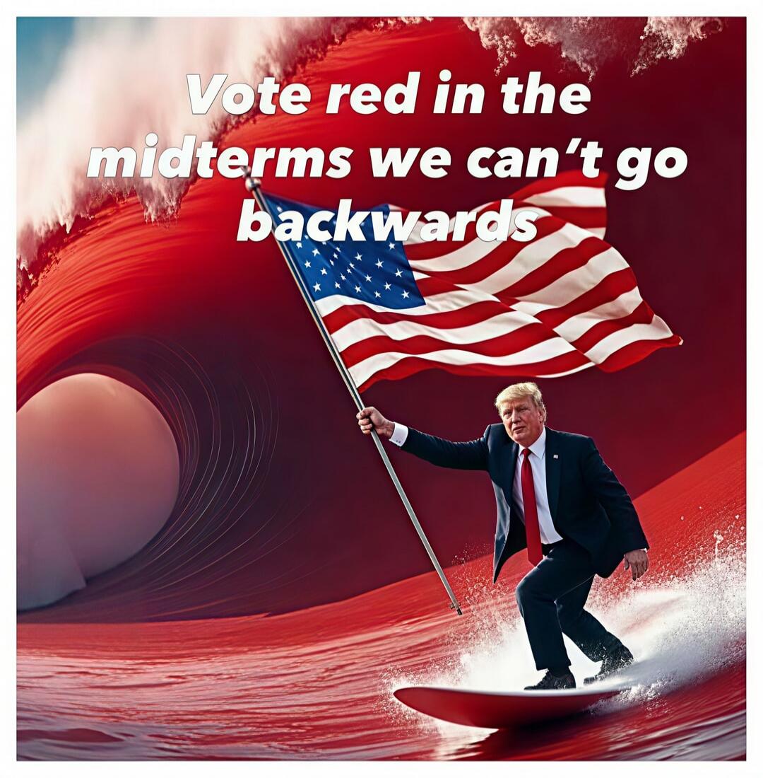 Vote red in the midterms we can't go backwards