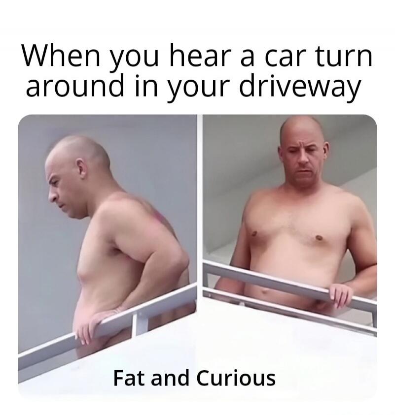 When you hear a car turn around in your driveway
Fat and Curious