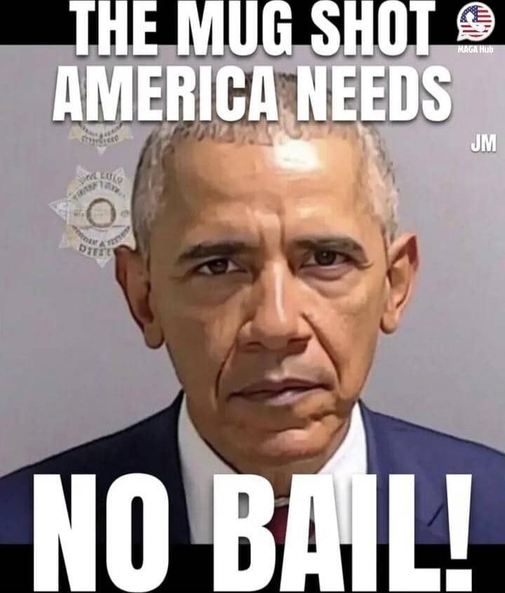 THE MUG SHOT AMERICA NEEDS NO BAIL!