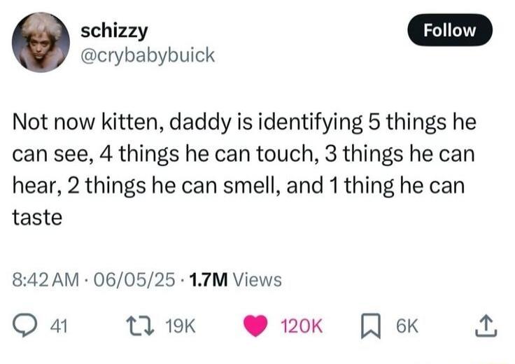 Not now kitten, daddy is identifying 5 things he can see, 4 things he can touch, 3 things he can hear, 2 things he can smell, and 1 thing he can taste