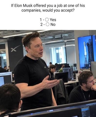 If Elon Musk offered you a job at one of his companies, would you accept? 1 - Yes 2 - No