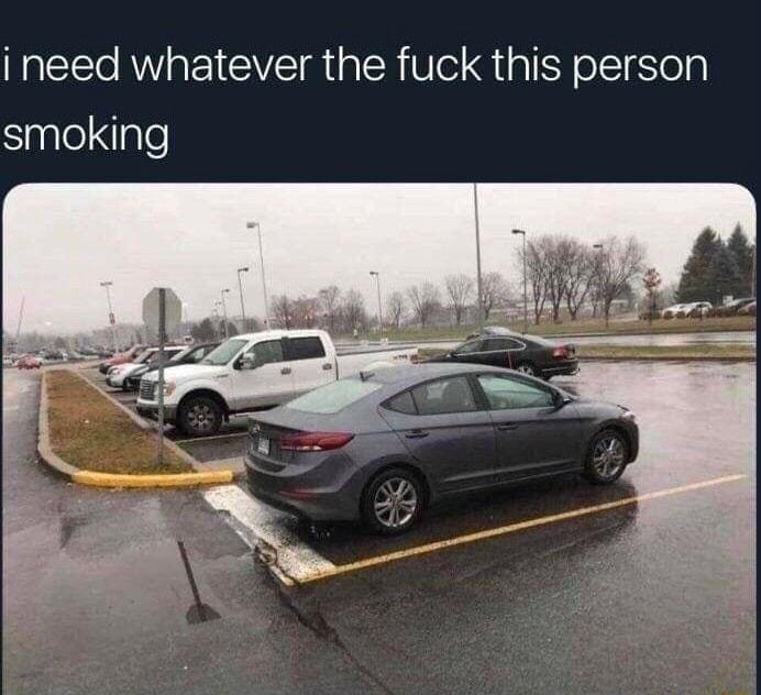 i need whatever the fuck this person SalelNale