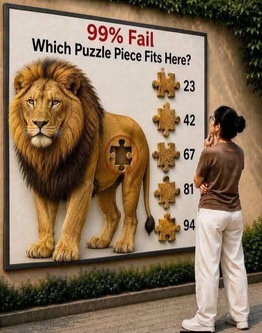 99% Fail Which Puzzle Piece Fits Here? 23 42 67 81 94